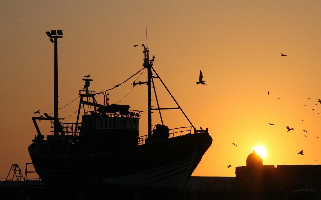 Greenpeace_entdeckt_illegale_Fischereifangflotte