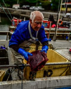 älterer Fischer hält ein Stück Fleisch in den Händen