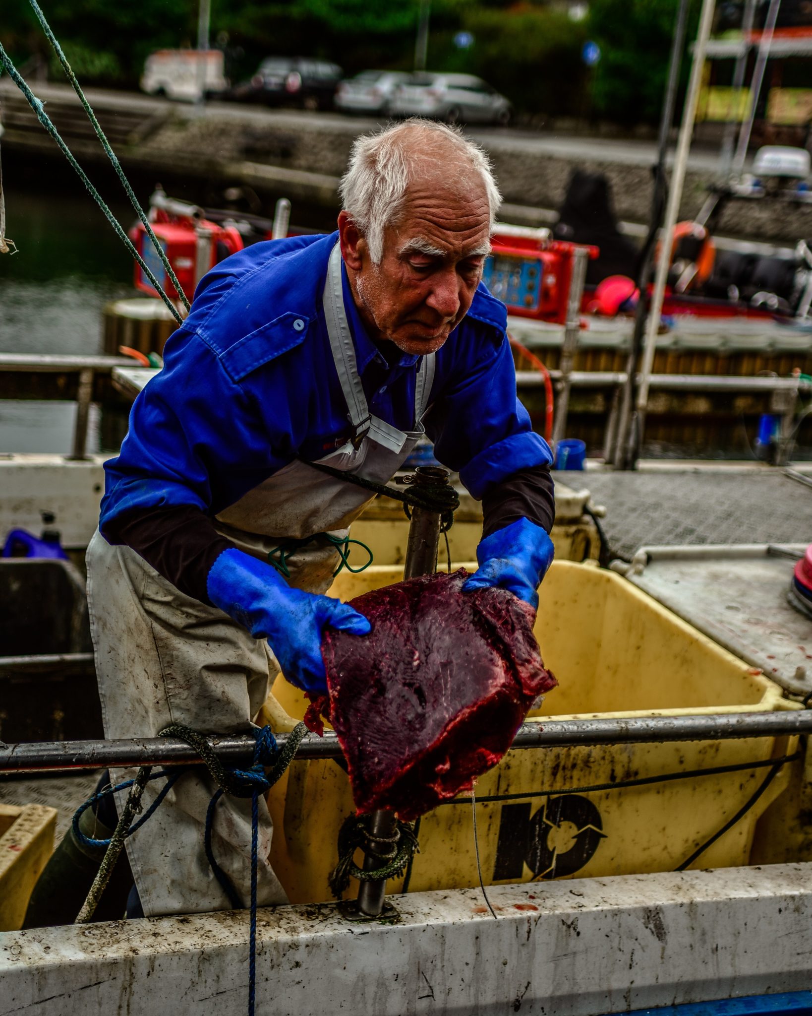 Älterer Fischer auf einem Fischkutter hält ein Stück Fleisch in den Händen