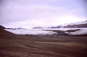Ein großer Teil des Bodens in der Arktis ist eisfrei