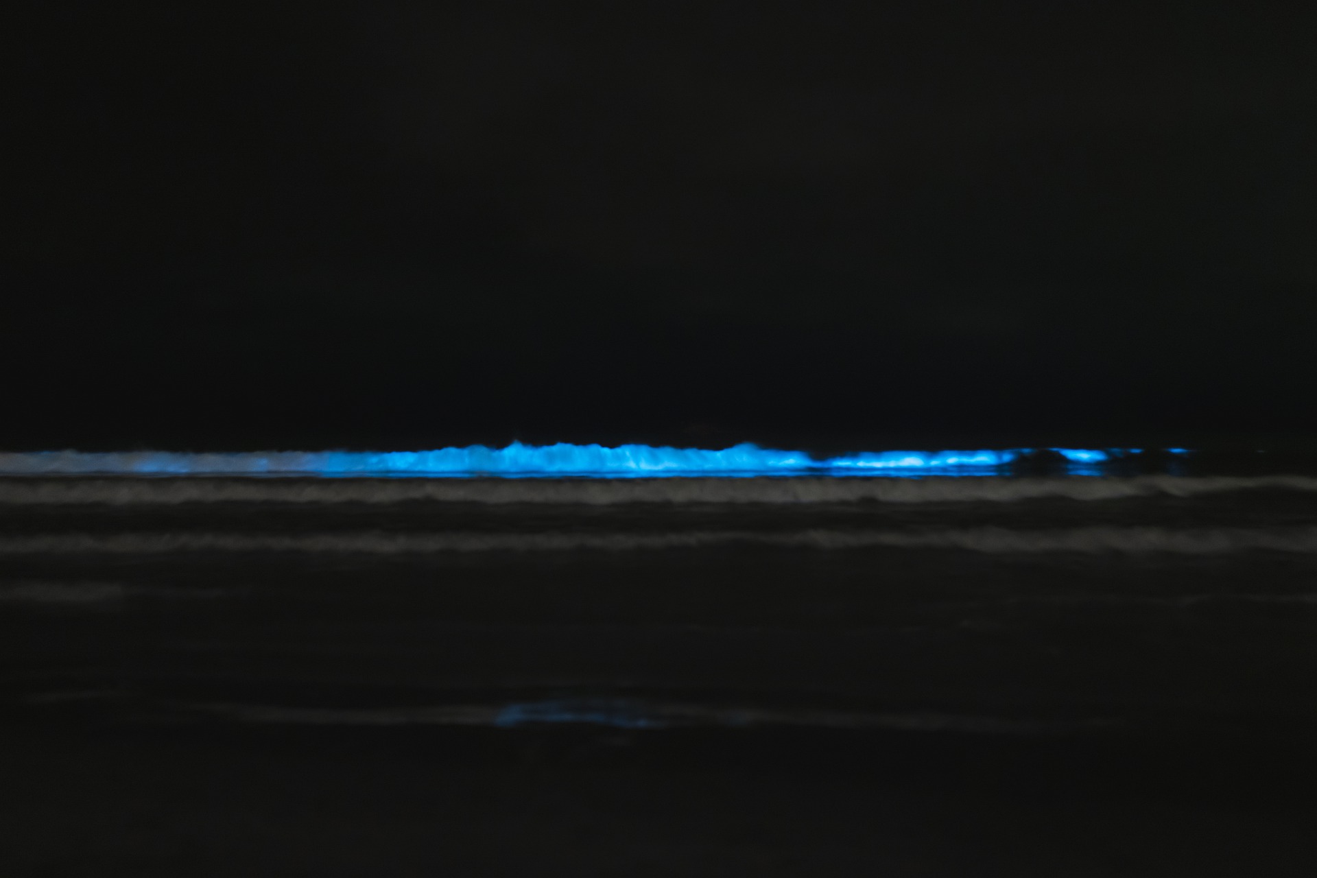 Nachtansicht von sich am Strand brechender Welle, die durch Lingulodinium polyedrum blau leuchtet