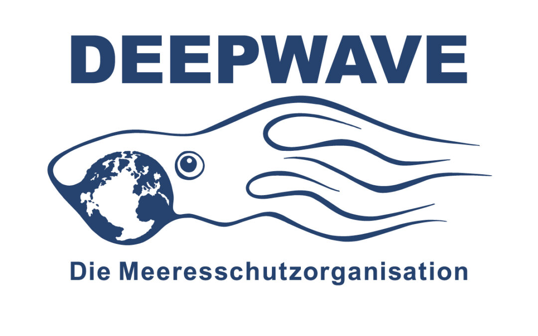 deepwave_logo