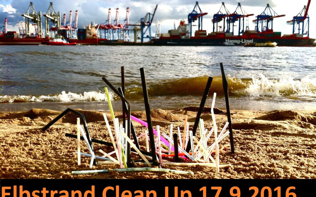 Elbstrand Clean Up