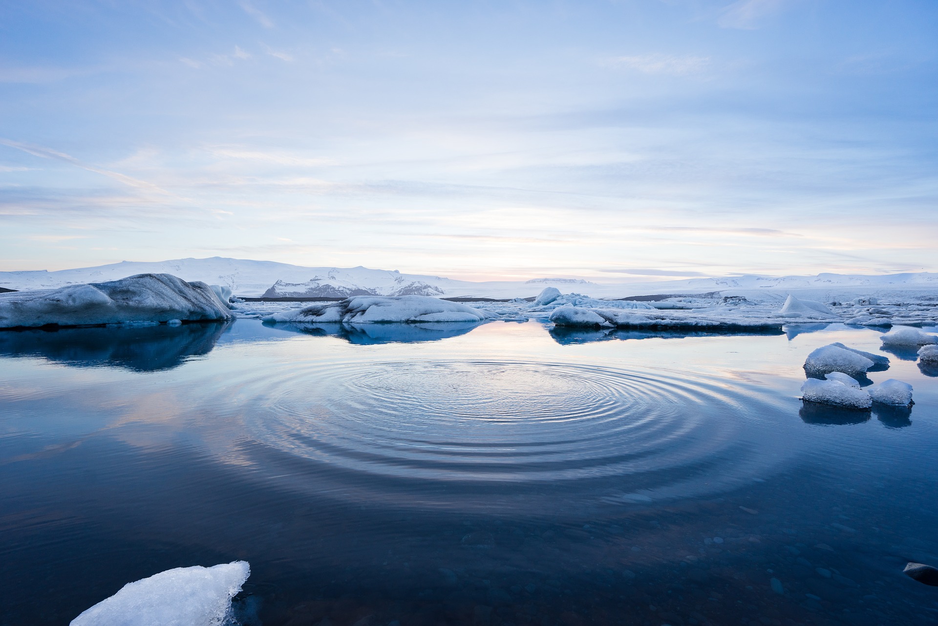 Ein paar kleine Eisschollen schwimmen im Wasser, im Hintergrund sieht man das Festland der Arktis