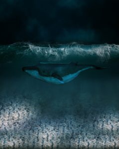 Illustration von über am Grund liegende Plastikflaschen schwimmender Wal
