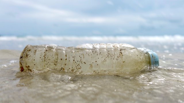 FILE PHOTO: A plastic bottle washed up by the sea is seen at the Ao Phrao Beach, on the island of Ko Samet
