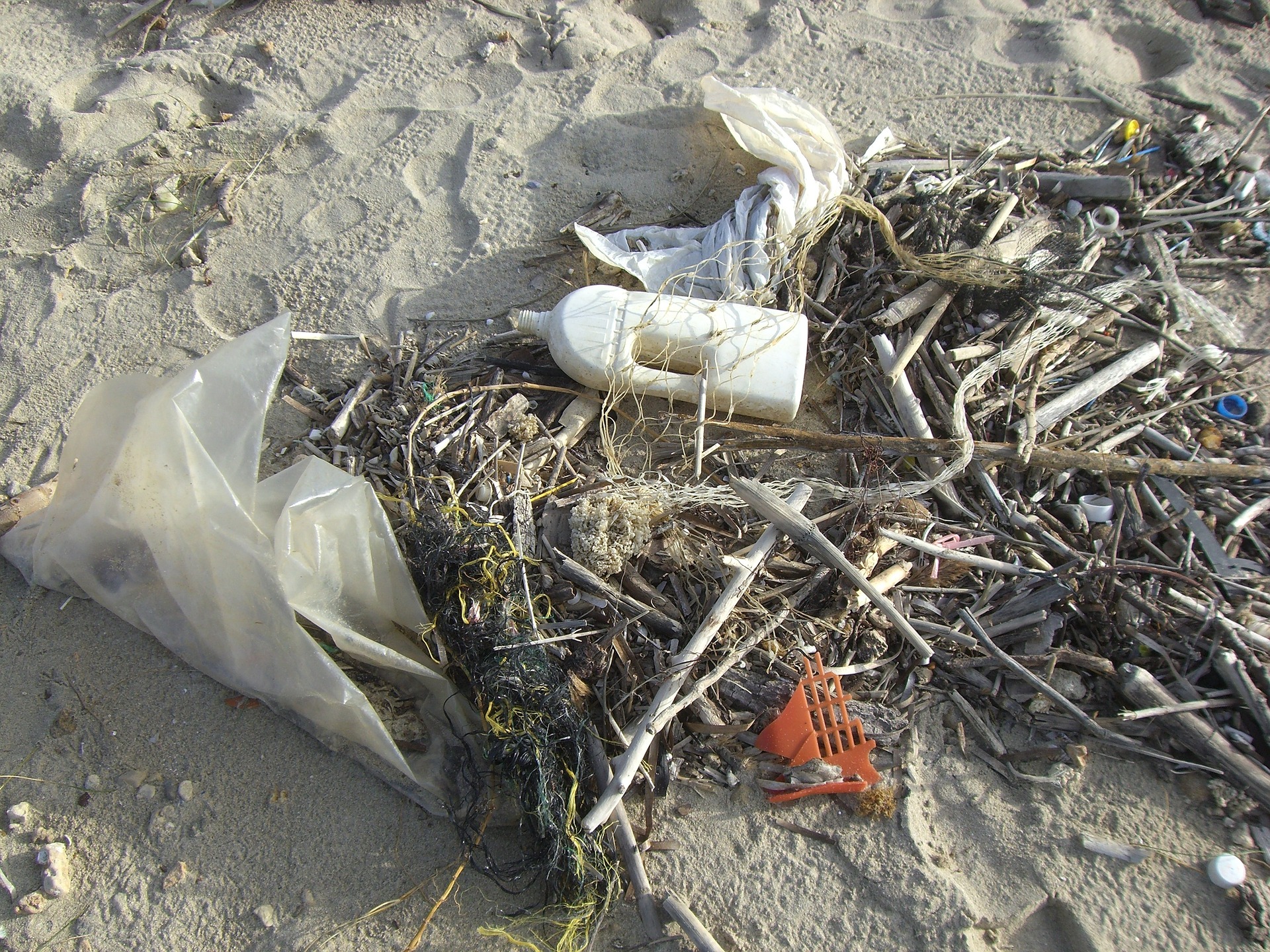 Plastikmüll liegt zusammen mit Pflanzen am Strand