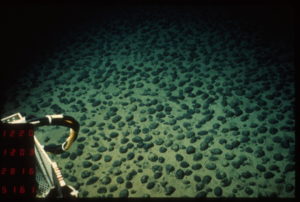 Unterwasseransicht von Manganknollenfeld