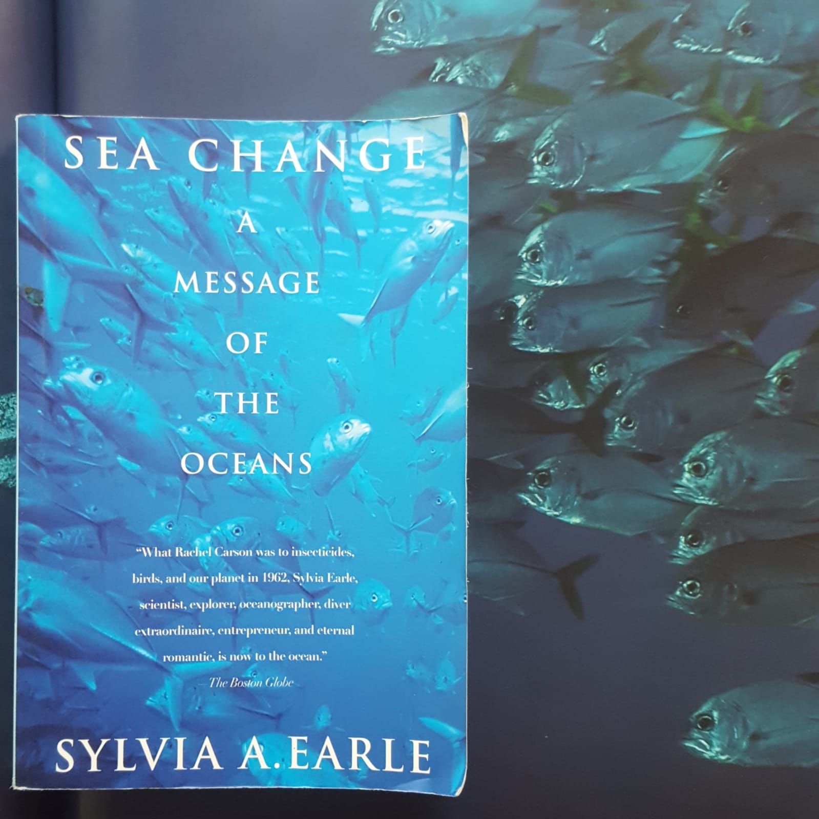 Sea Change