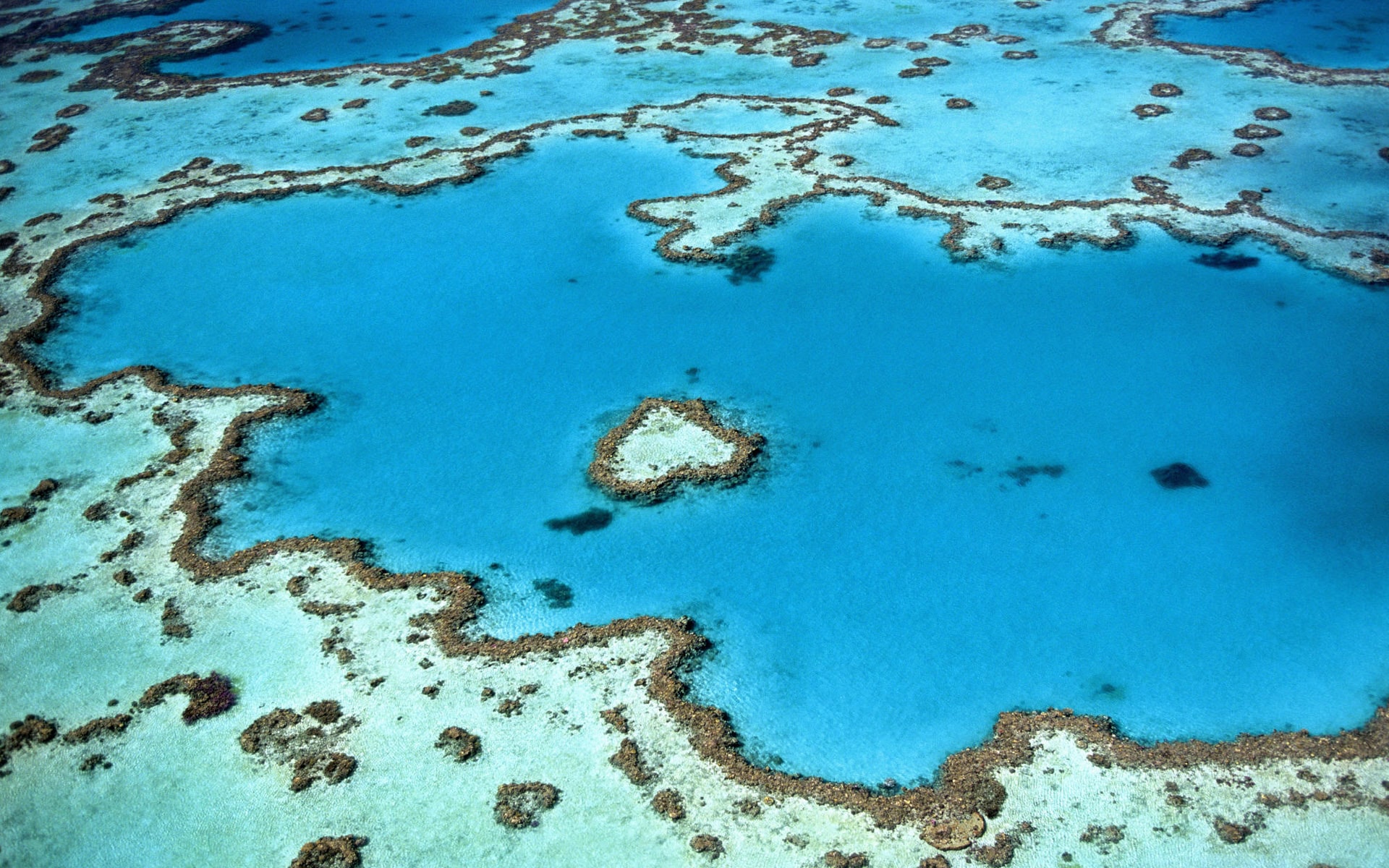 Eine Luftaufnahme vom Great Barrier Reef, türkises Wasser und bunte Korallen