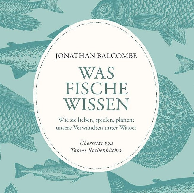 Was Fische wissen