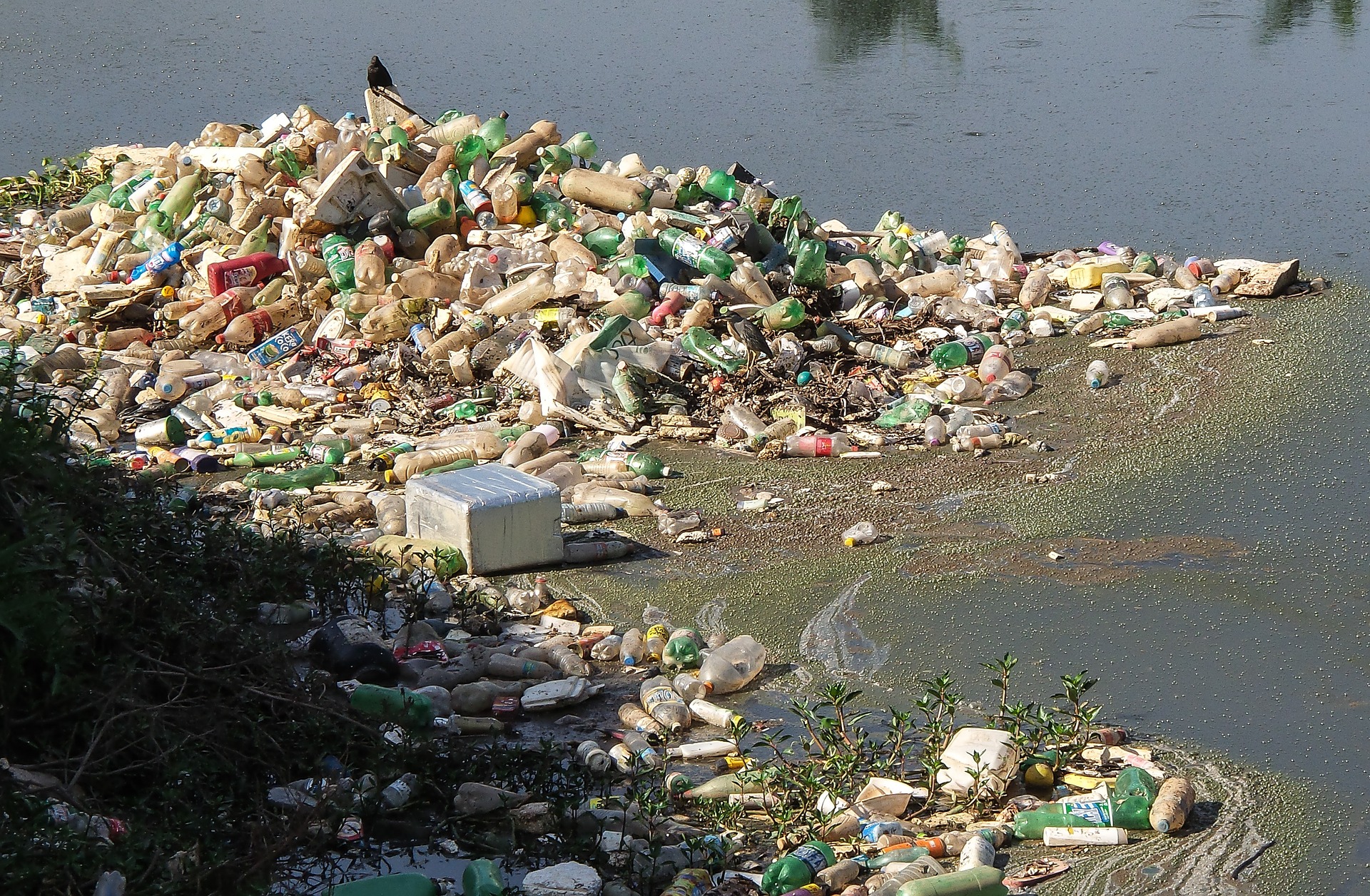 Ganz viel Plastikflaschen und anderer Müll liegt am Ufer. Das Wasser ist braun und wirkt schmutzig