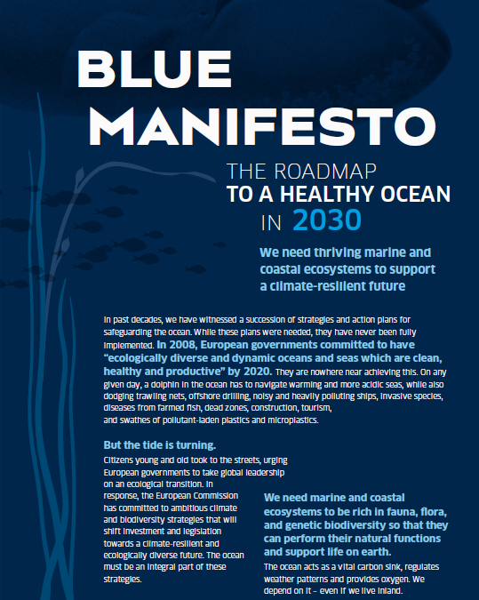 2020.01.27_Blue_Manifesto_PrintScreen
