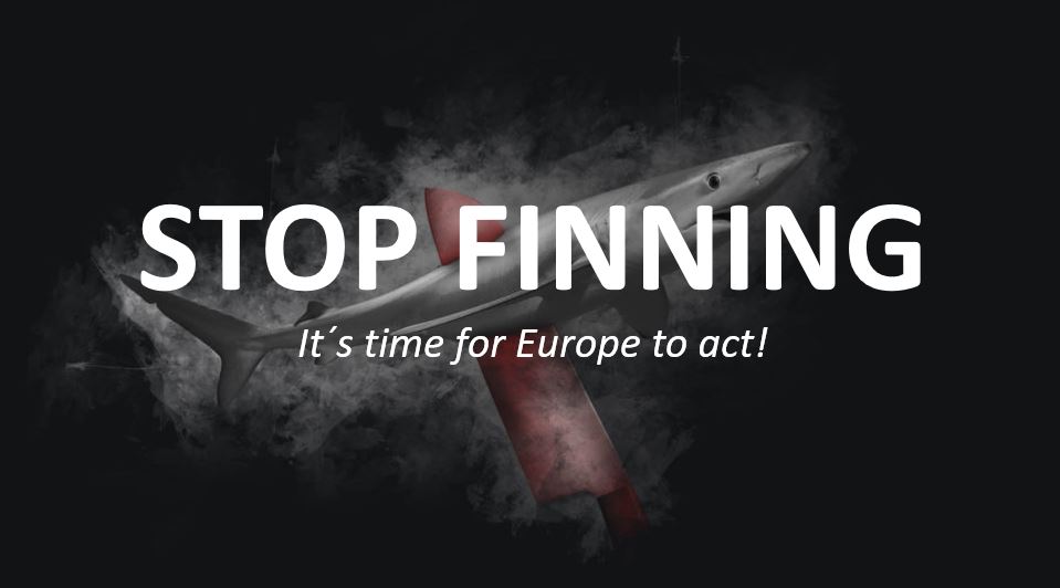 Ein Hai ist im Hintergrund zu sehen, von einem roten Messer durchstochen. Im Vordergrund steht in weißer Schrift: STOp FINNING- It's time for Europe to act!