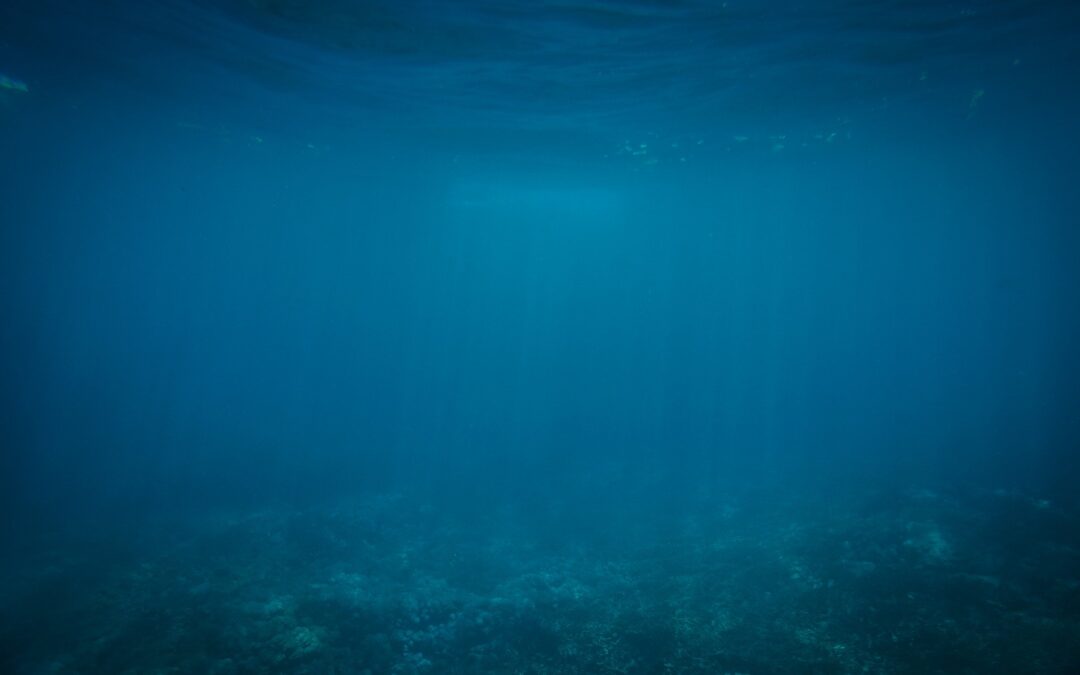 underwater_free-photos-pixabay