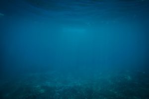 Unterwasseraufnahme in Blautönen. Man erkennt schemenhaft den Meeresboden und die Wasseroberfläche.