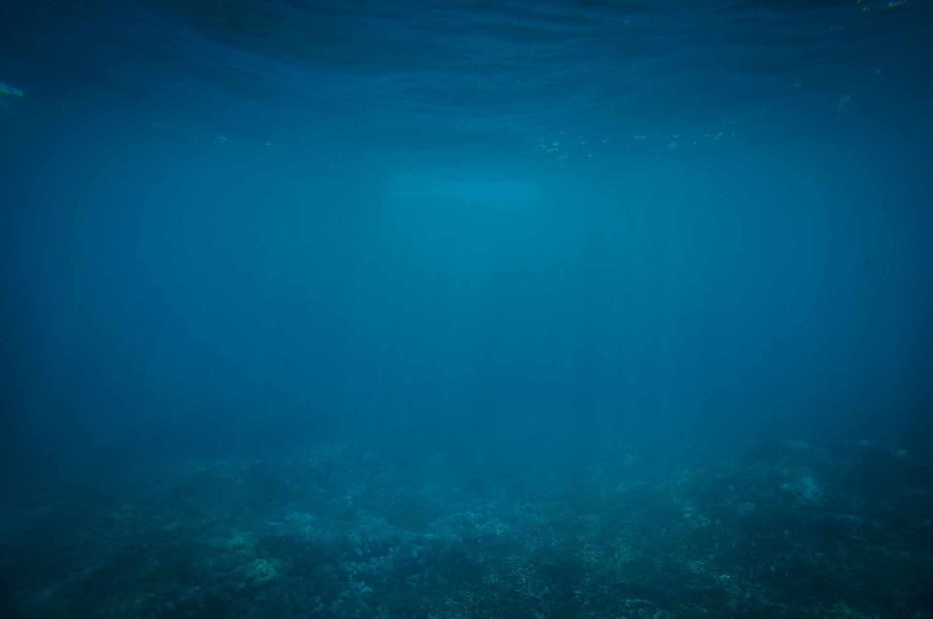 Unterwasseraufnahme in Blautönen. Man erkennt schemenhaft den Meeresboden und die Wasseroberfläche.