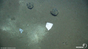 Quarkpackung neben Manganknollen in mehr als 4000 Metern Wassertiefe im sogenannten DISCOL-Gebiet (Südostpazifik)