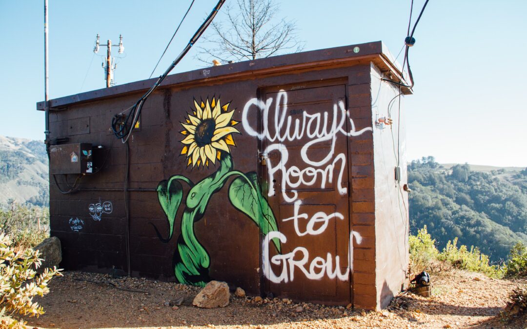 graffiti_always_room_to_grow