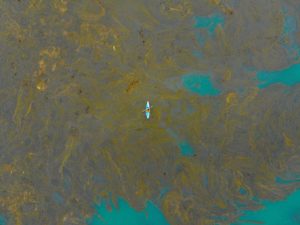 Ein weißes Kanu fährt über ein Gewässer mit einem großen, braunen Ölteppich