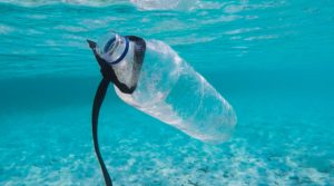 Eine Plastikflasche treibt in türkisblauen Wasser unter der Wasseroberfläche. Um den Flaschenhals hängt eine Plastikschnur.