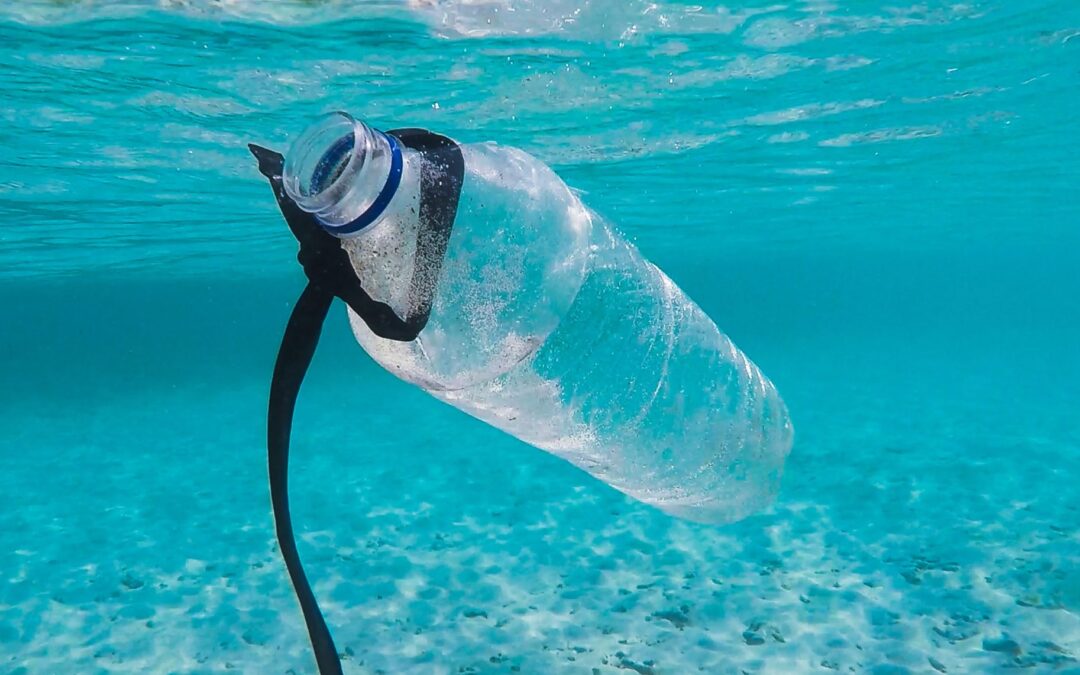 Plastikflasche_im_Meer