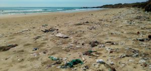 Ein Strand ist übersäht mit Müll aus kleinem Makro- und Mikroplastik