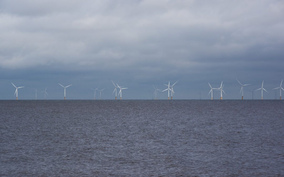 Entscheidung_zu_windpark_butendiek_enttäuscht_auf_ganzer_linie