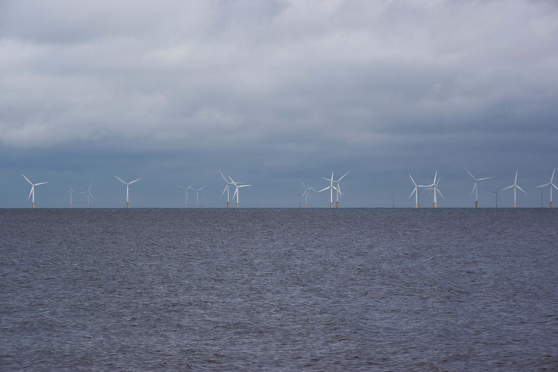 Eine großer Windpark steht im offenen Meer