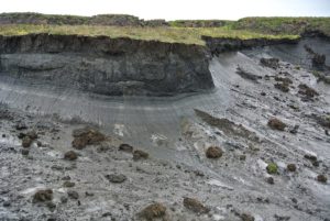 Ein kantiger Abbruch im Grasboden zeigt den darunter liegenden Permafrostboden