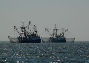 Zwei Fischerei-Boote mit je zwei großen Netzen im Wasser fahren nebeneinander