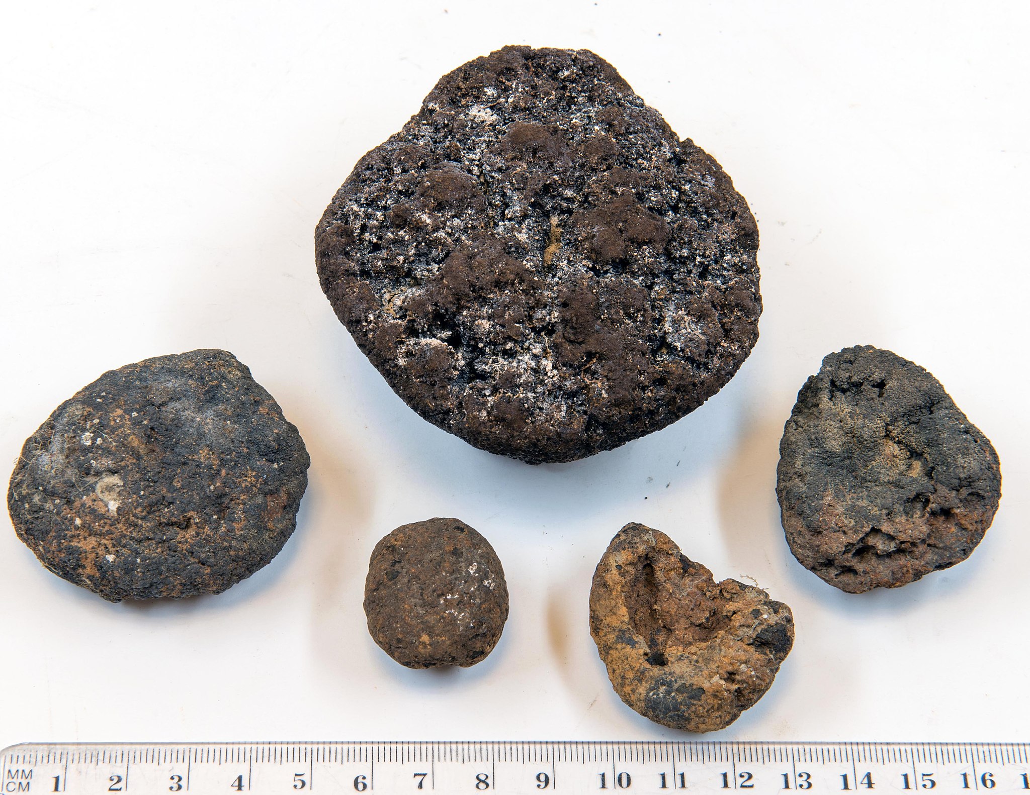 Mehrere Manganknollen, die Metalle beinhalten, in verschiedenen Größen 