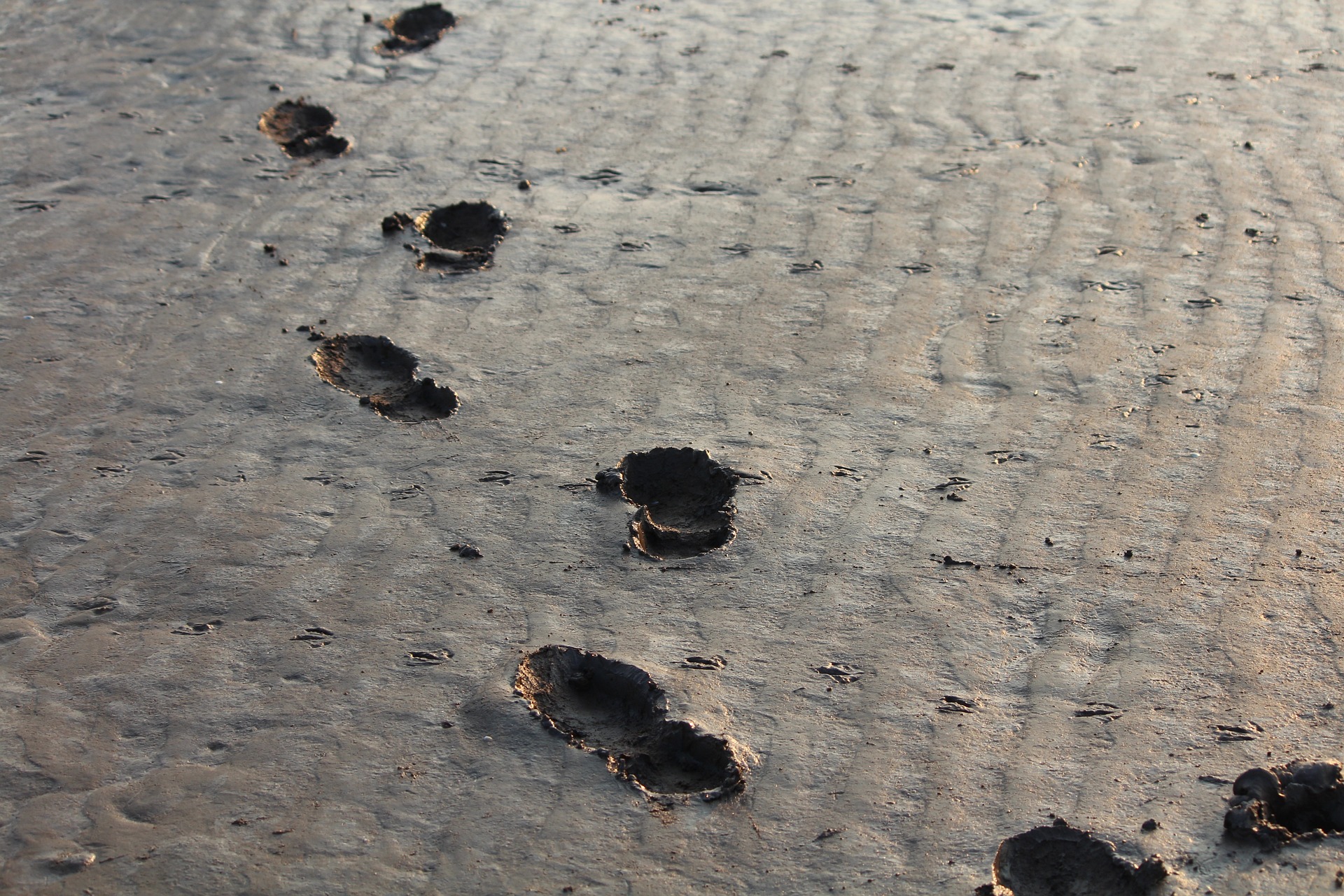 Fußspuren sind im Wattenmeer zu sehen