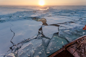 Mehrere Eisschollen schwimmen auf dem Wasser, im Hintergrund geht die Sonne unter