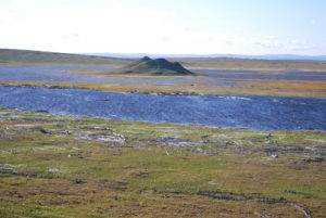 Ein mit Gras bewachsener arktischer Permafrostboden