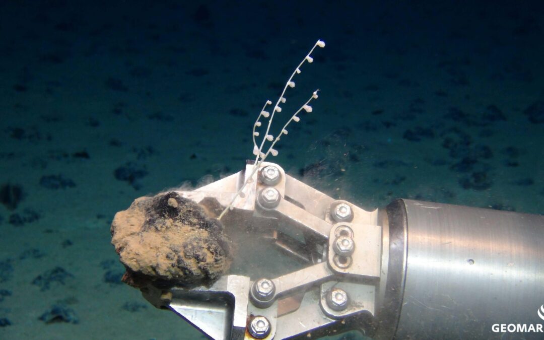 2019-04-05_22-59-41_Sonne_SO268-2_099ROV14_OnlyLogo_klein_original(1)