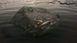 Ein kleines Netz mit toten Fischen schwimmt an der Wasseroberfläche