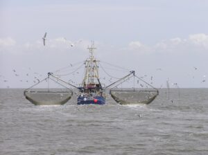 Ein traditioneller Krabbenkutter für die Fischerei von Krabben in der Nordsee